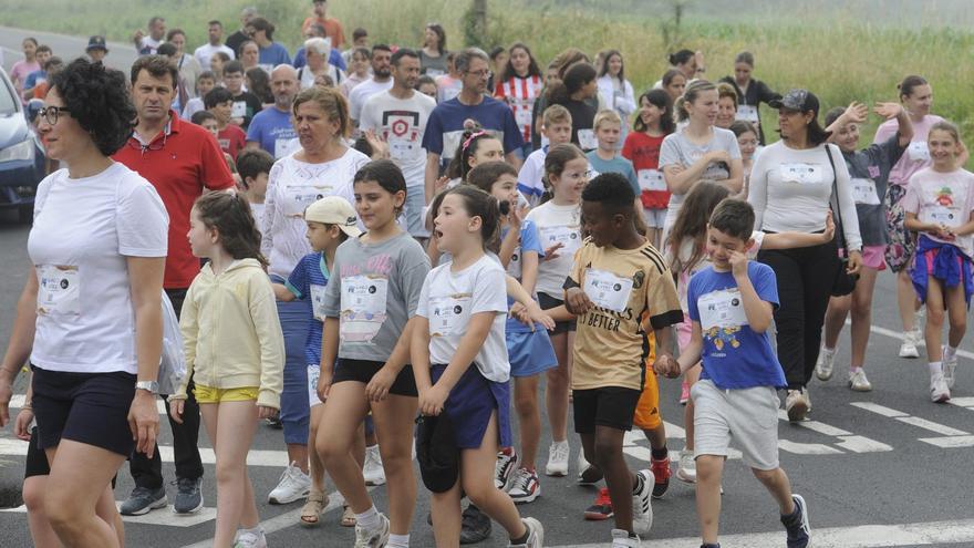 Uno de cada cuatro hogares de la zona está compuesto por miembros de 65 años o más