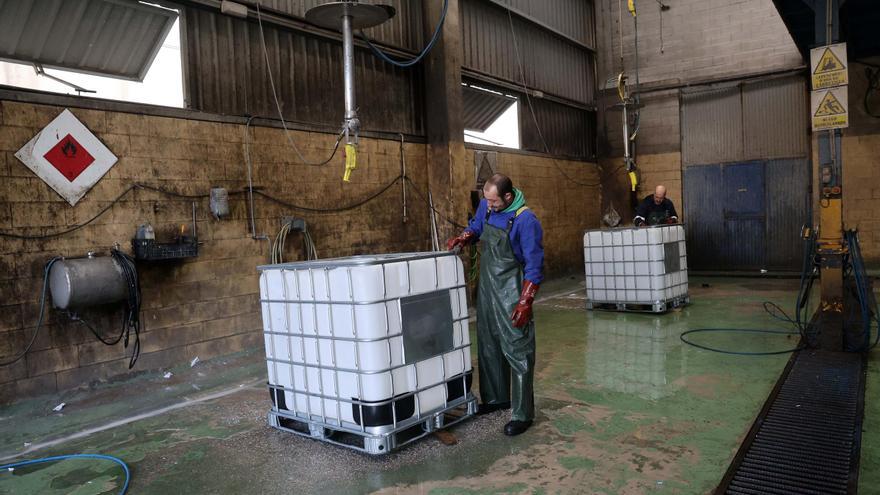 Así refuerza Vilagarcía el polígono industrial de Catoira