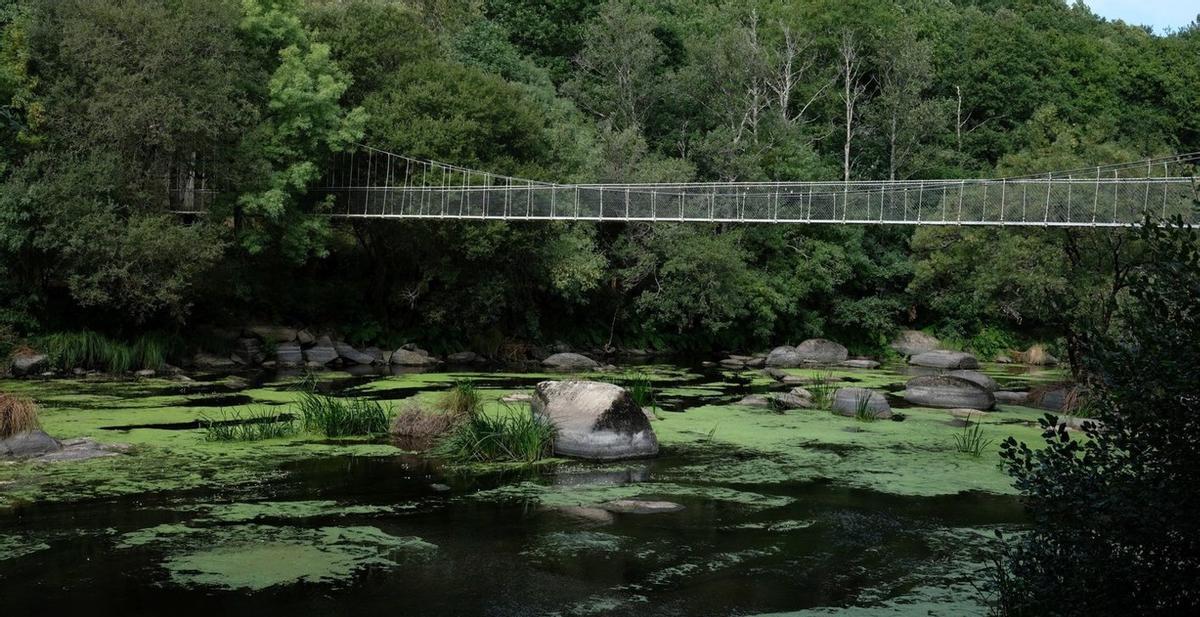 A ínsua de Seivane conta cunha ponte colgante duns 30 metrosde longo. | CEDIDA