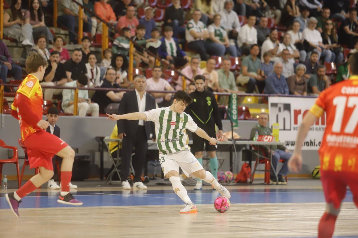 El Córdoba Futsal - Industrias Santa Coloma, en imágenes El Córdoba Futsal - Industrias Santa Coloma, en imágenes