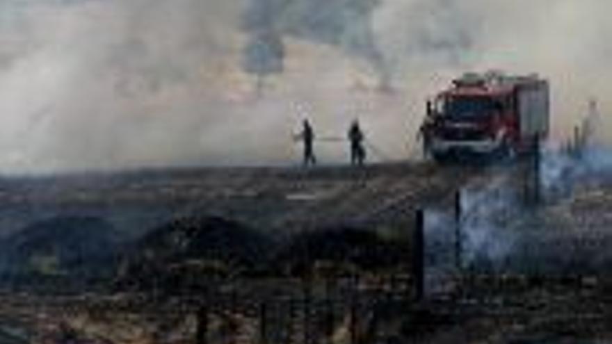 El PSOE denuncia que faltan bomberos y policías locales