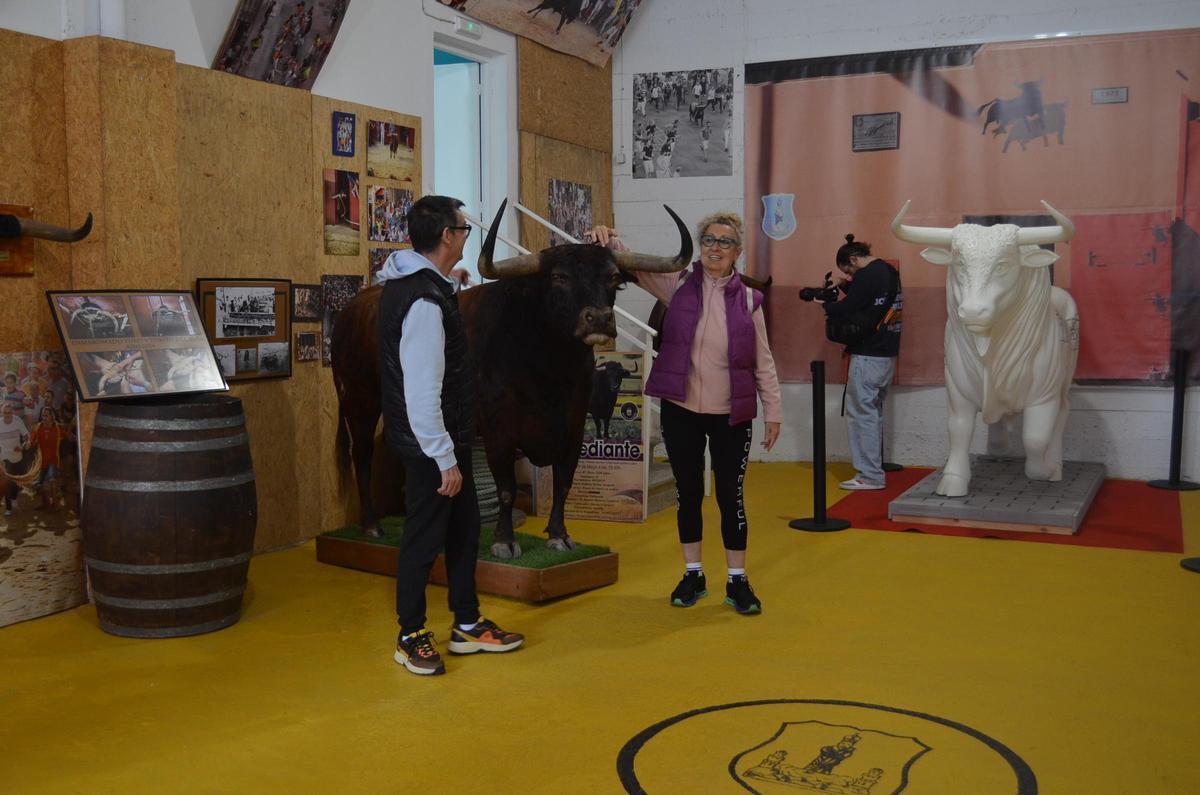Exposición del pasado al presente del Toro Enmaromado.