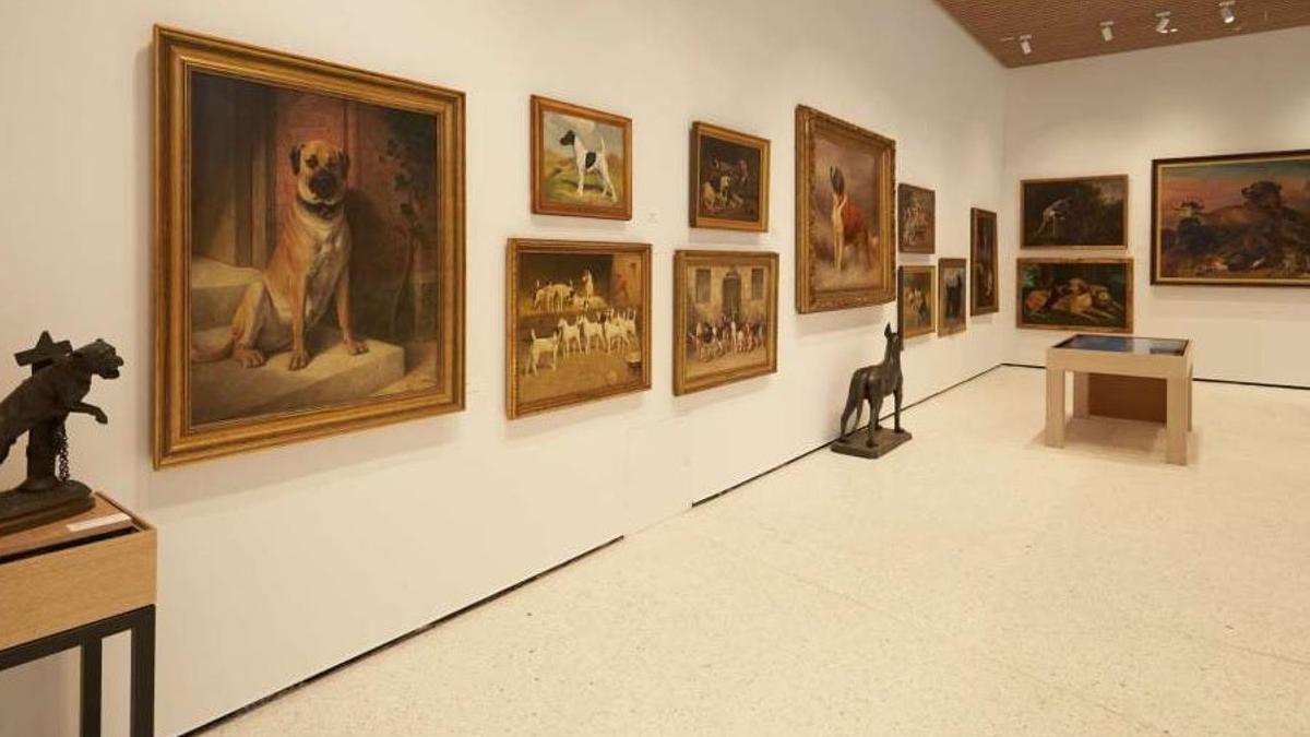 Museo del Perro