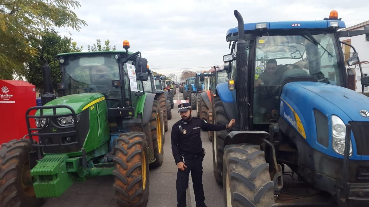 Miles de personas se manifiestan en defensa de la agricultura en Adamuz