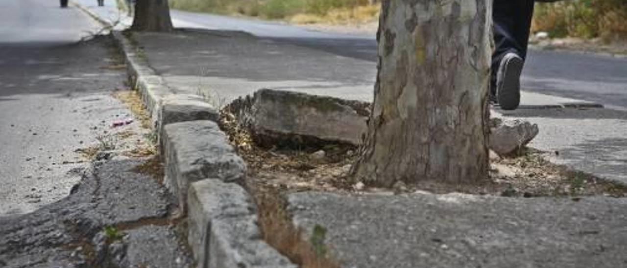 Aceras reventadas por las raíces en Ribera Montes.