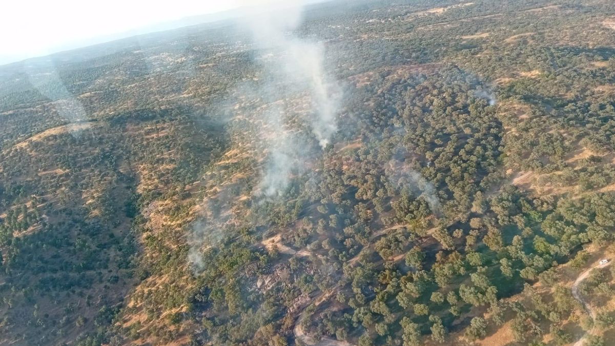 Imagen aérea del incendio de Cardeña facilitada por el Infoca.