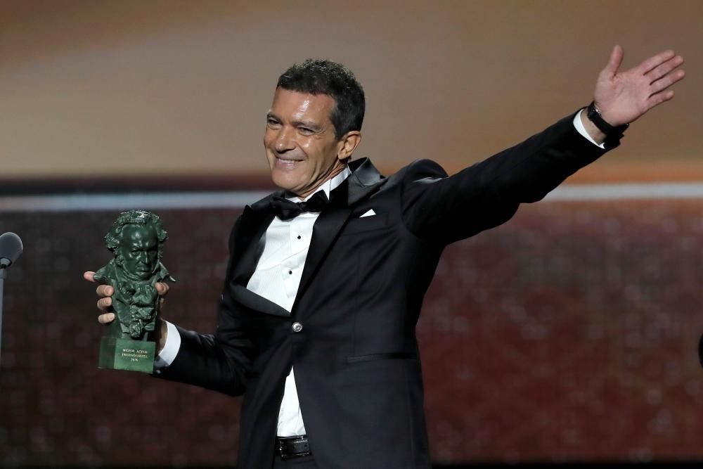 Antonio Banderas, Goya a Mejor Actor por 'Dolor y Gloria'.