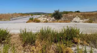 La adecuación deportiva de la rotonda en El Zarpazo de Lucena acabará en el 2026