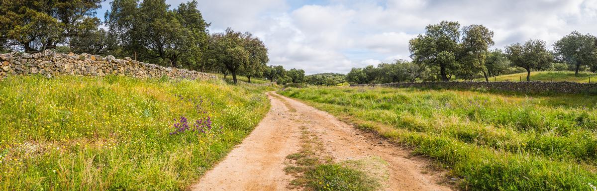 Paisaje en los alrededores