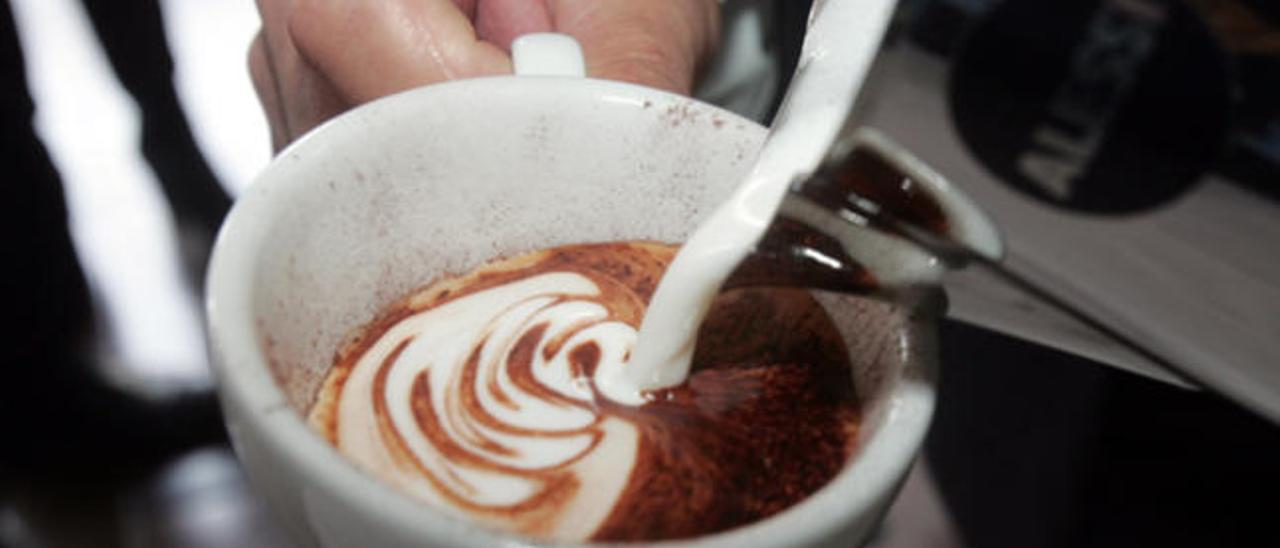 Una suculenta taza de café.