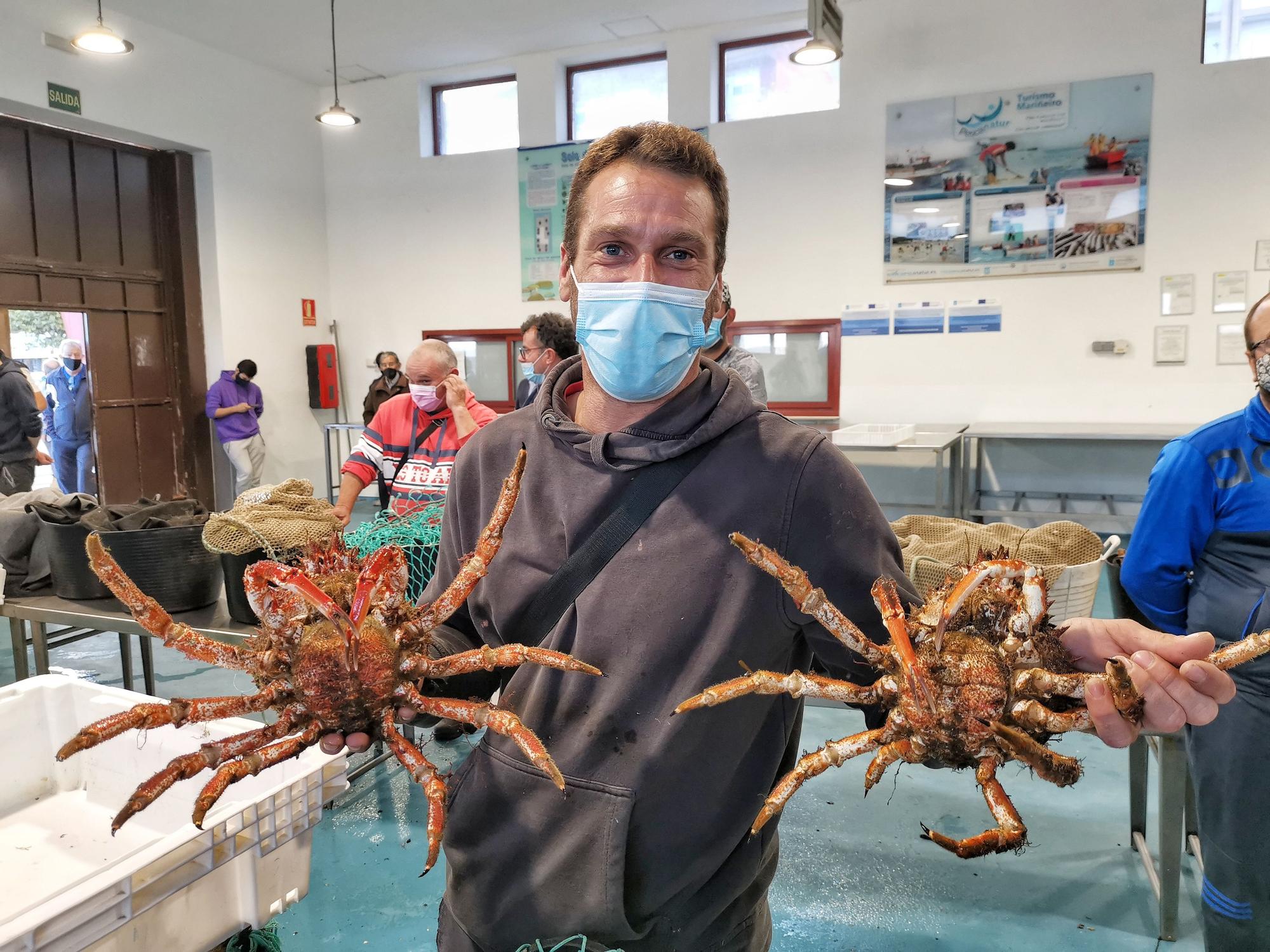 La campaña del "marisco rey", la centolla, arranca en Cangas y Bueu