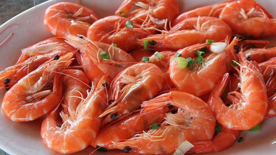 El debate de las Navidades: ¿Es malo chupar las cabezas de las gambas y los langostinos?