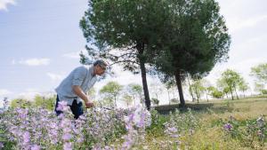 Un voluntario observando mariposas en un parque del área de Barcelona.