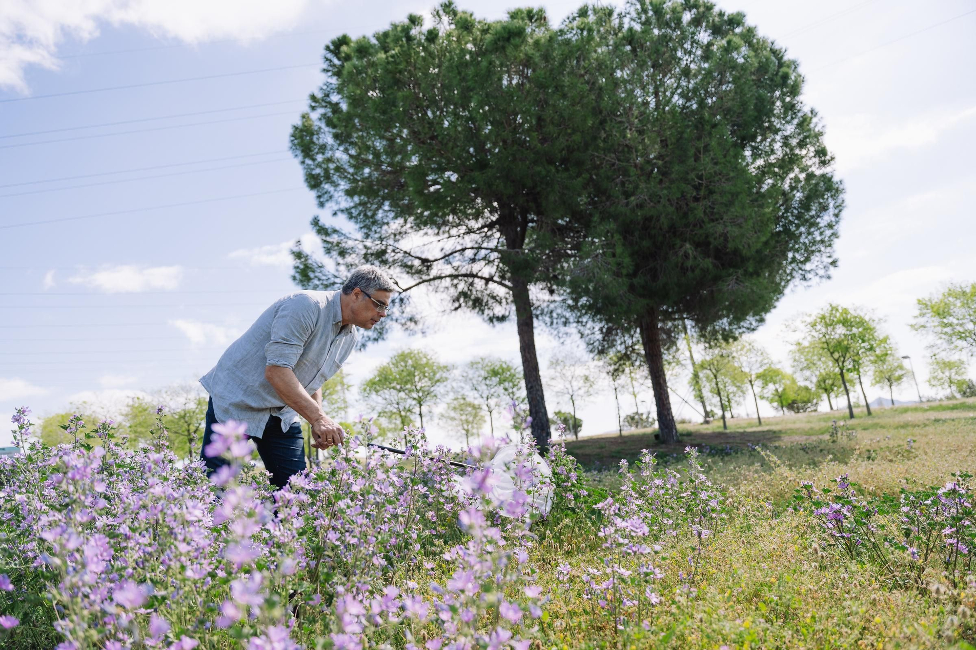 Un voluntario observando mariposas en un parque del área de Barcelona.