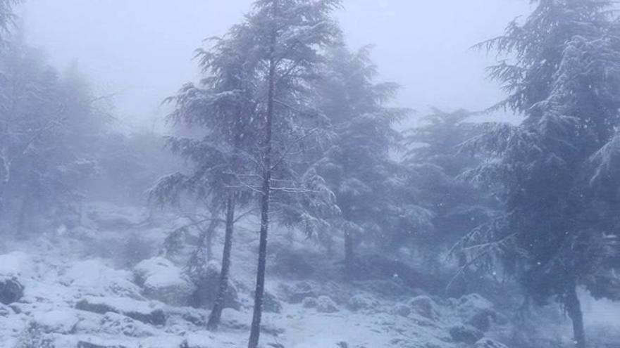 Así nieva este lunes en la sierra de Cabra