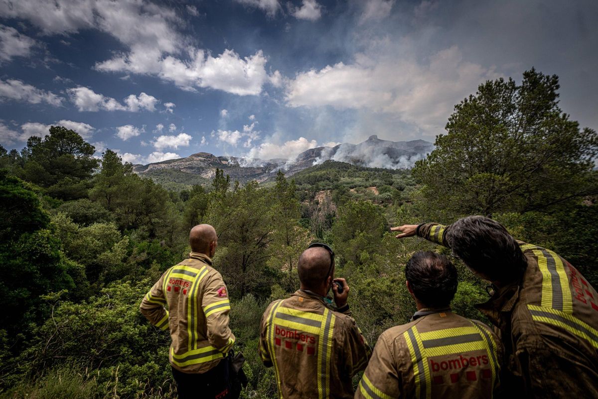 Dentro del incendio en Baix Ebre: los bomberos trabajan a contra reloj en el incendio forestal en Paüls