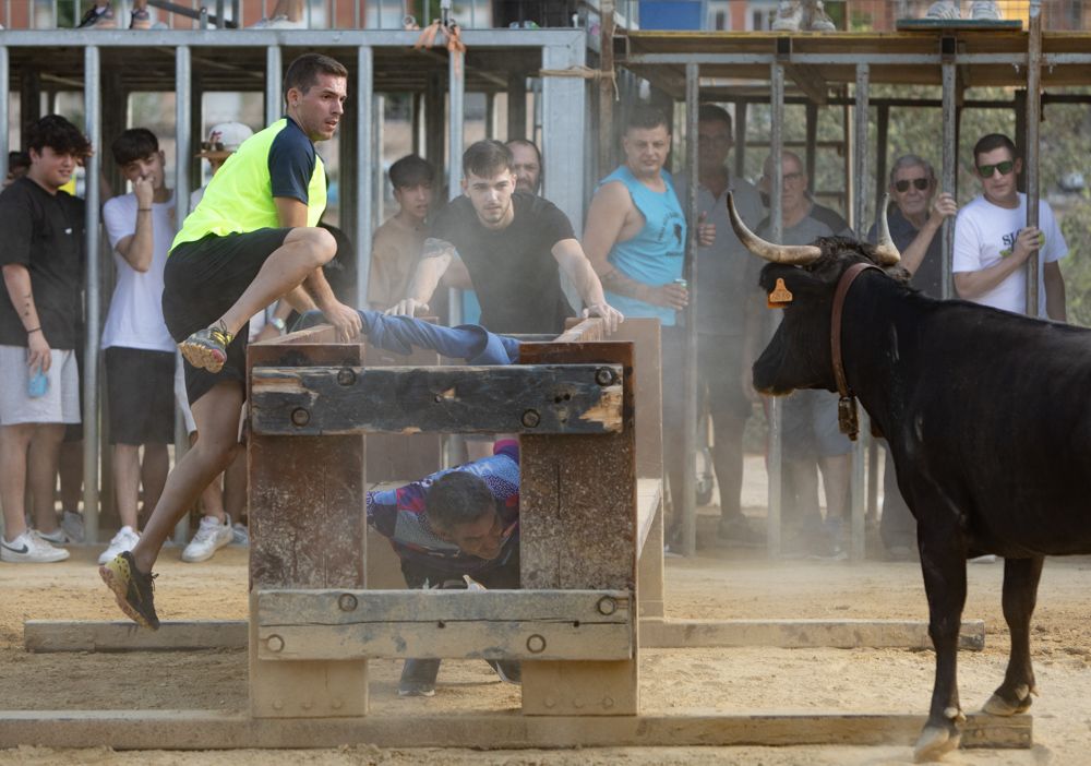 Jueves de vaquillas en las fiestas de Sagunt