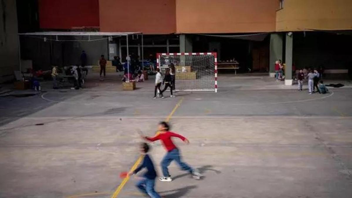 Ni metge ni futbolista: aquesta és la professió a la qual es volen dedicar els nens el 2026