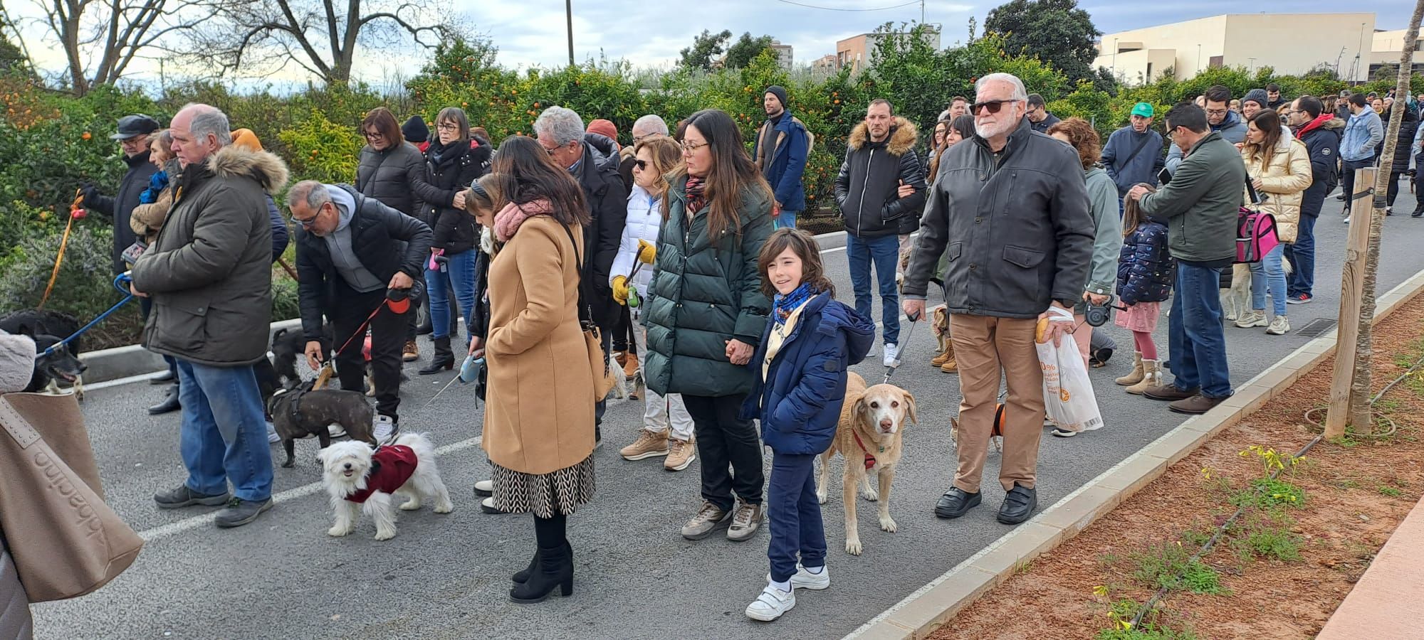 Galería de fotos: Castelló se vuelca con la procesión de Sant Antoni a la Mare de Déu del Lledó