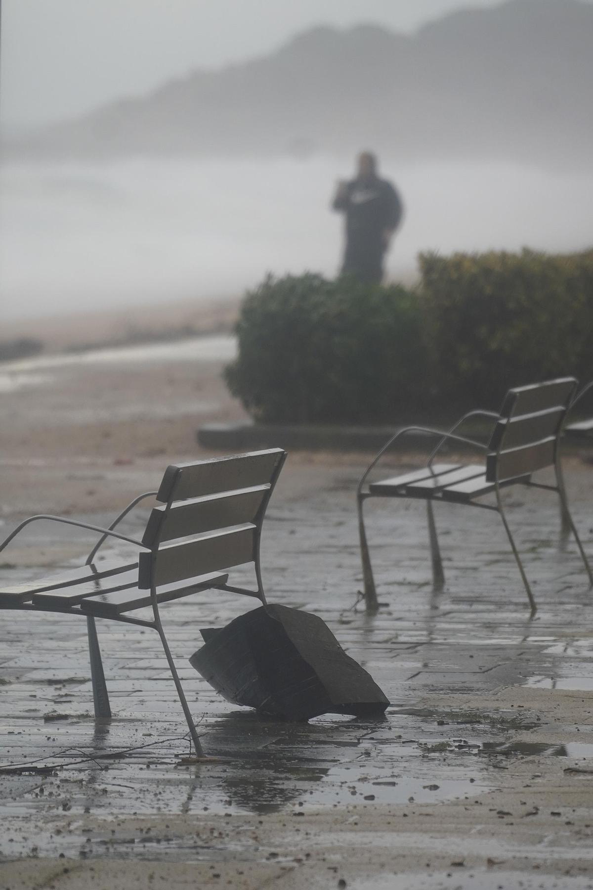 Imatges de la balena morta arrossegada pel temporal a la costa de Platja d'Aro