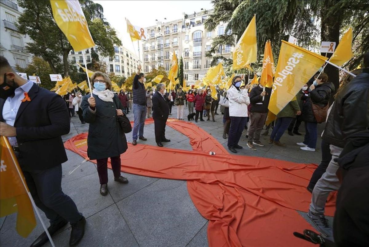  Concentración frente al Congreso de los Diputados contra la Ley Celaá.  