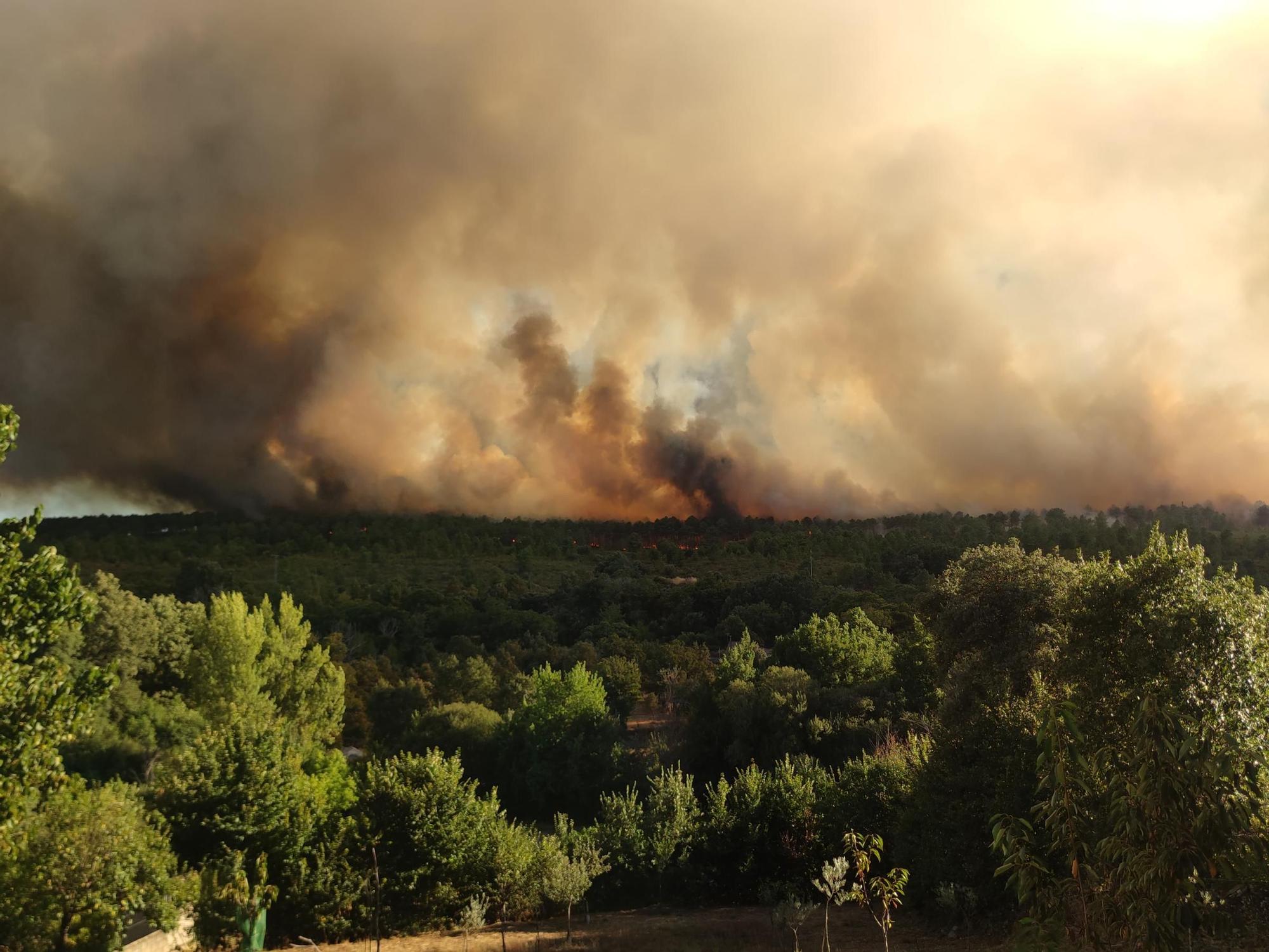 Las espectaculares imágenes del avance del fuego de Trabazos