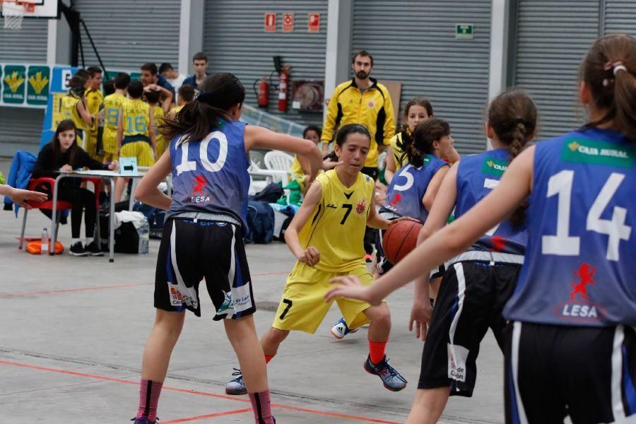 Fanatic Minibasket de Zamora