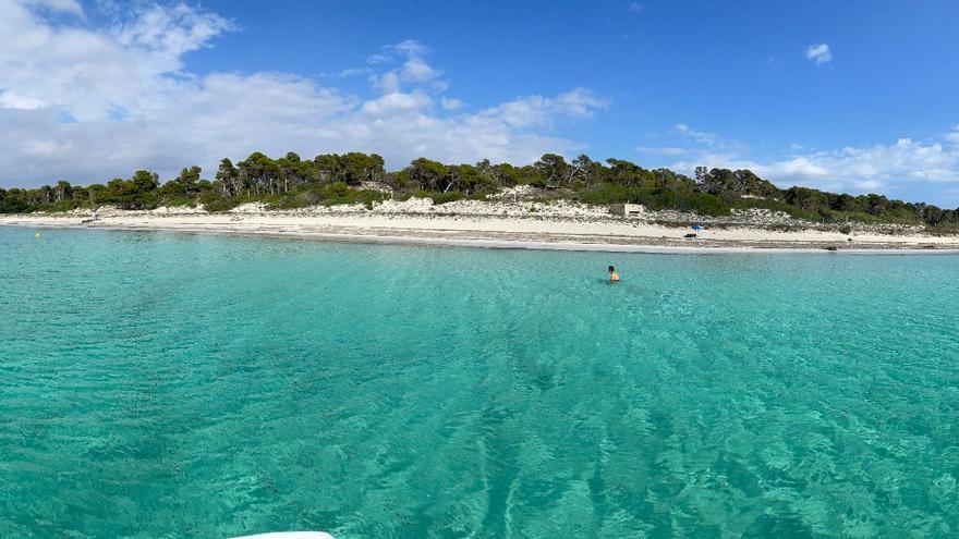 Nudismo en el salón de plenos de ses Salines