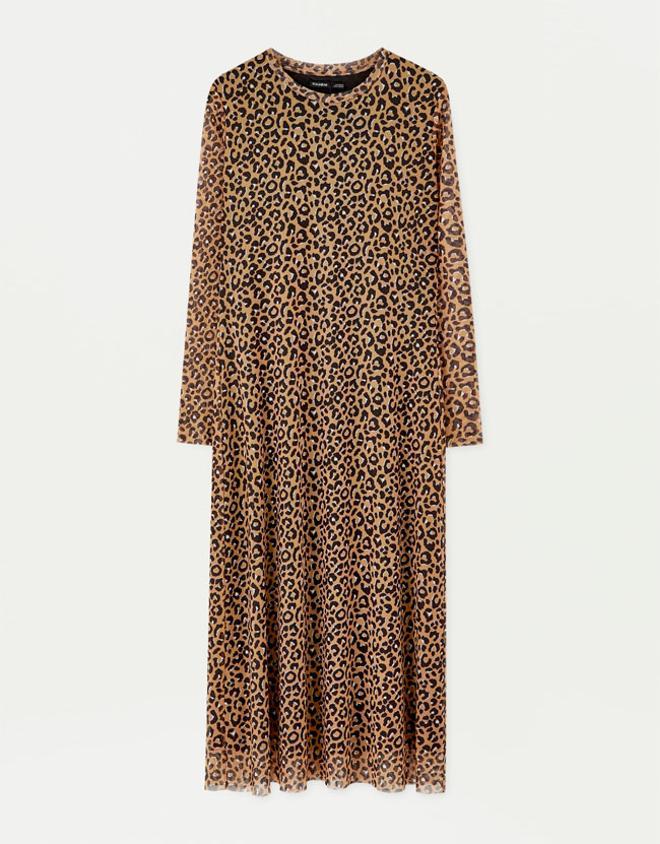 Leopardo