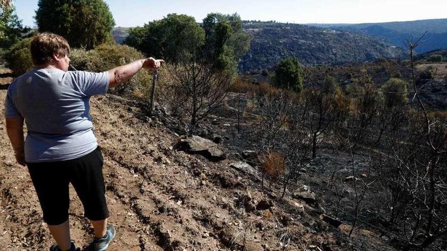 La alcaldesa pedánea Margarita Pérez muestra la zona del Puerto, lindante con Portugal, abrasada por las llamas.