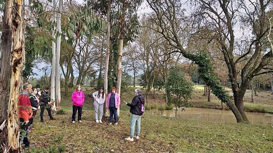 Imatge d’una edició anterior de les Caminades