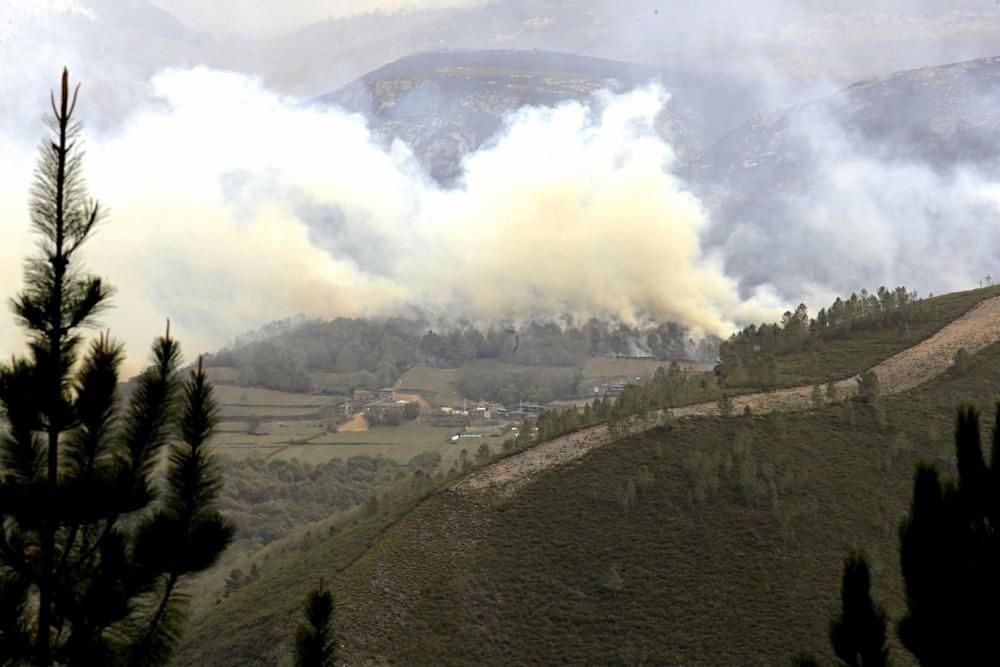 Incendio en Ibias