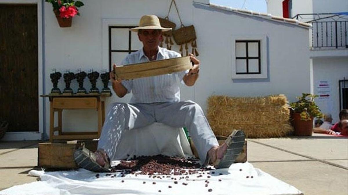 Un agricultor trabaja con la uva pasa de la Axarquía.