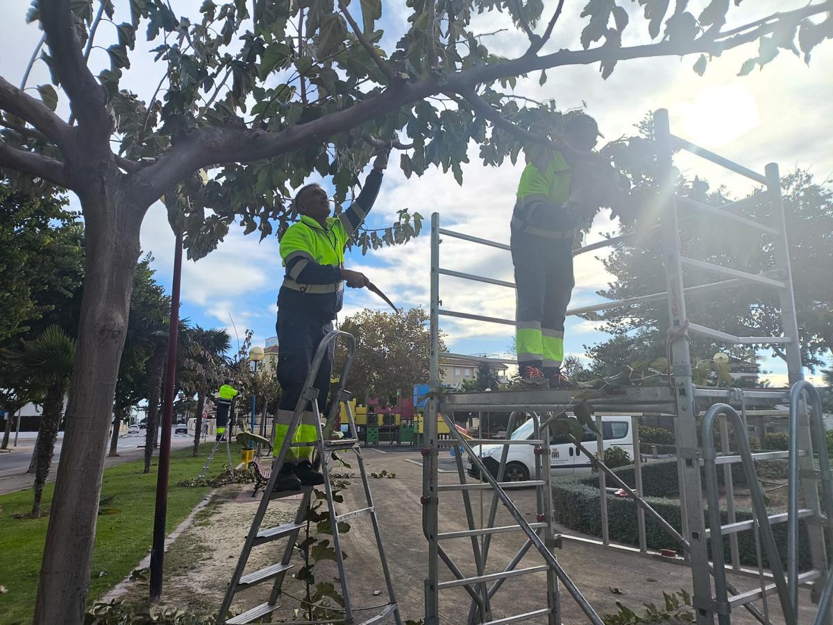 Uno de los operarios con un serrucho.