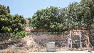 La Comunitat Valenciana acapara gran parte de las 17.000 fincas rústicas del 'plan Sánchez' para jóvenes y mujeres
