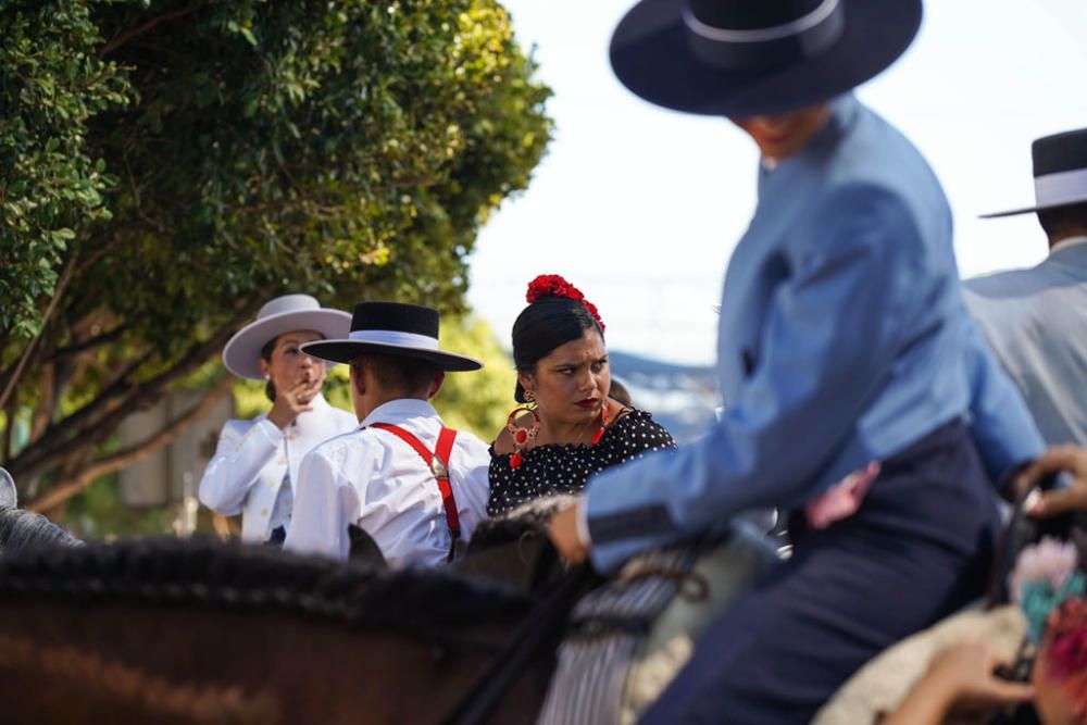 Primeros caballos en el Cortijo de Torres