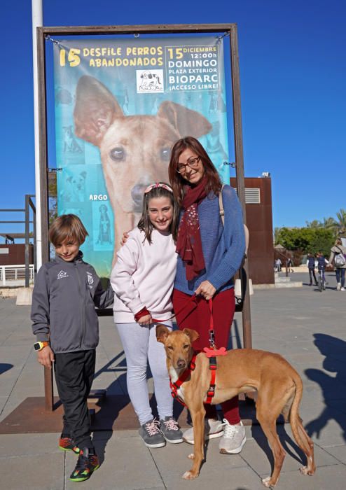 Fundación Bioparc y AUPA celebran el 15º Desfiles de perros abandonados