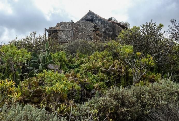 Las Palmas de Gran Canaria. yacimiento Lomo de San Gregorio, Ciudad del campo.  | 28/03/2019 | Fotógrafo: José Carlos Guerra