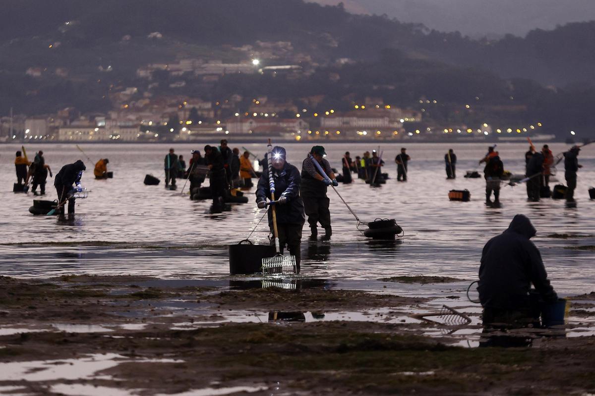 Marisqueo a pie en el banco de A Seca y Combarro.
