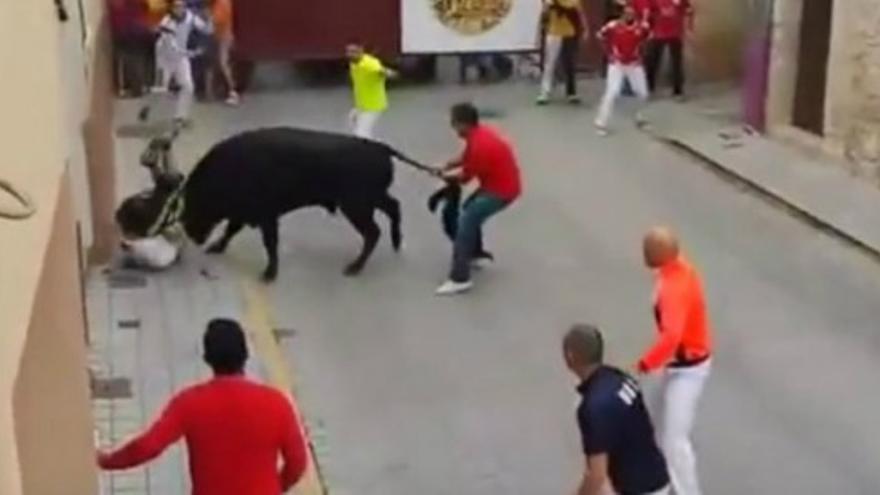 Muere un concejal tras ser corneado en Valladolid