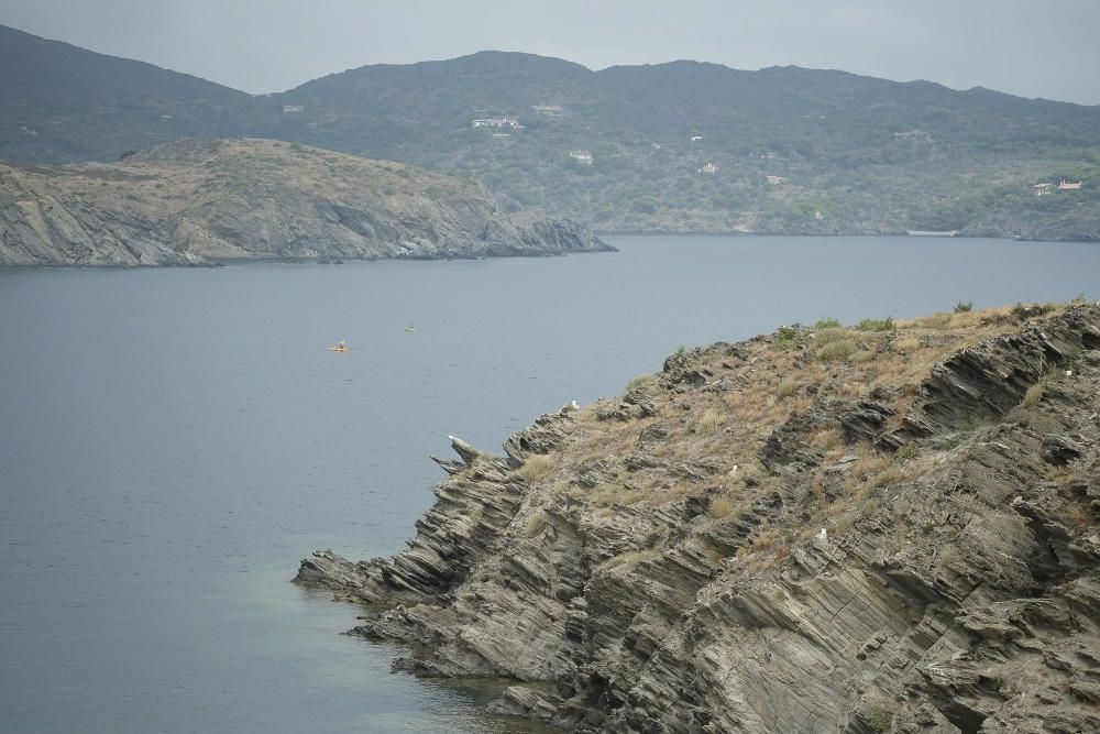 La força de terra i mar a Cadaqués i Cap de Creus