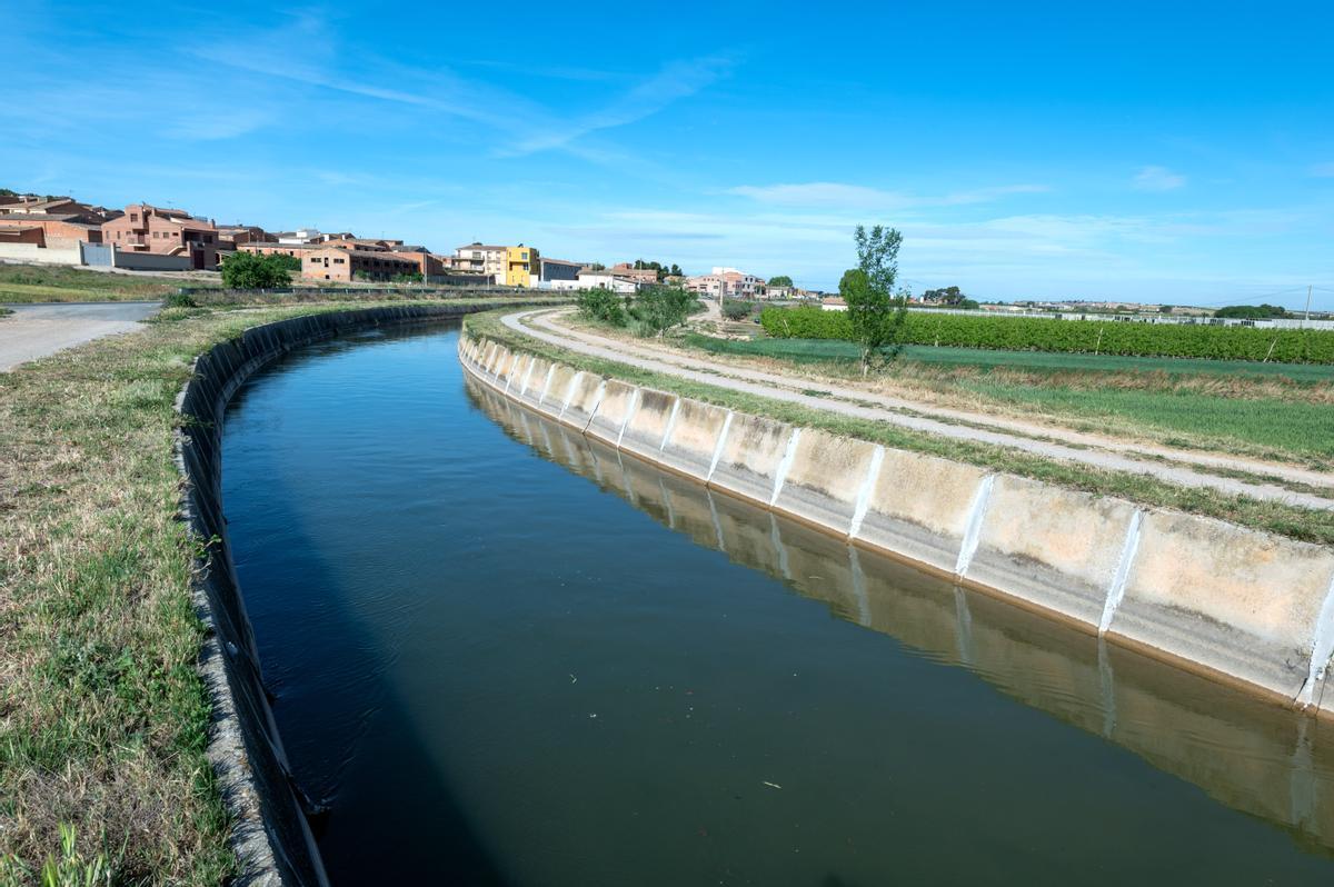 La campaña de riego del Canal dUrgell se cierra por la falta de agua