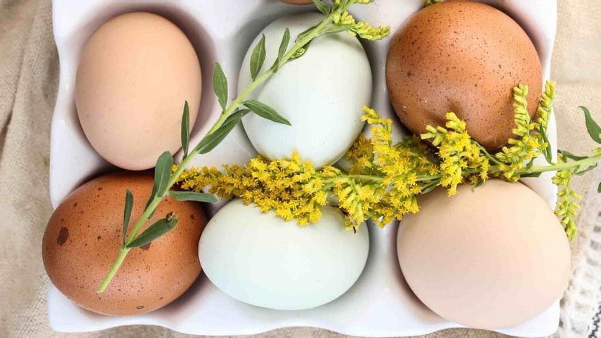 | Salmonelosis: síntomas y consejos para evitar una de las grandes amenazas del verano