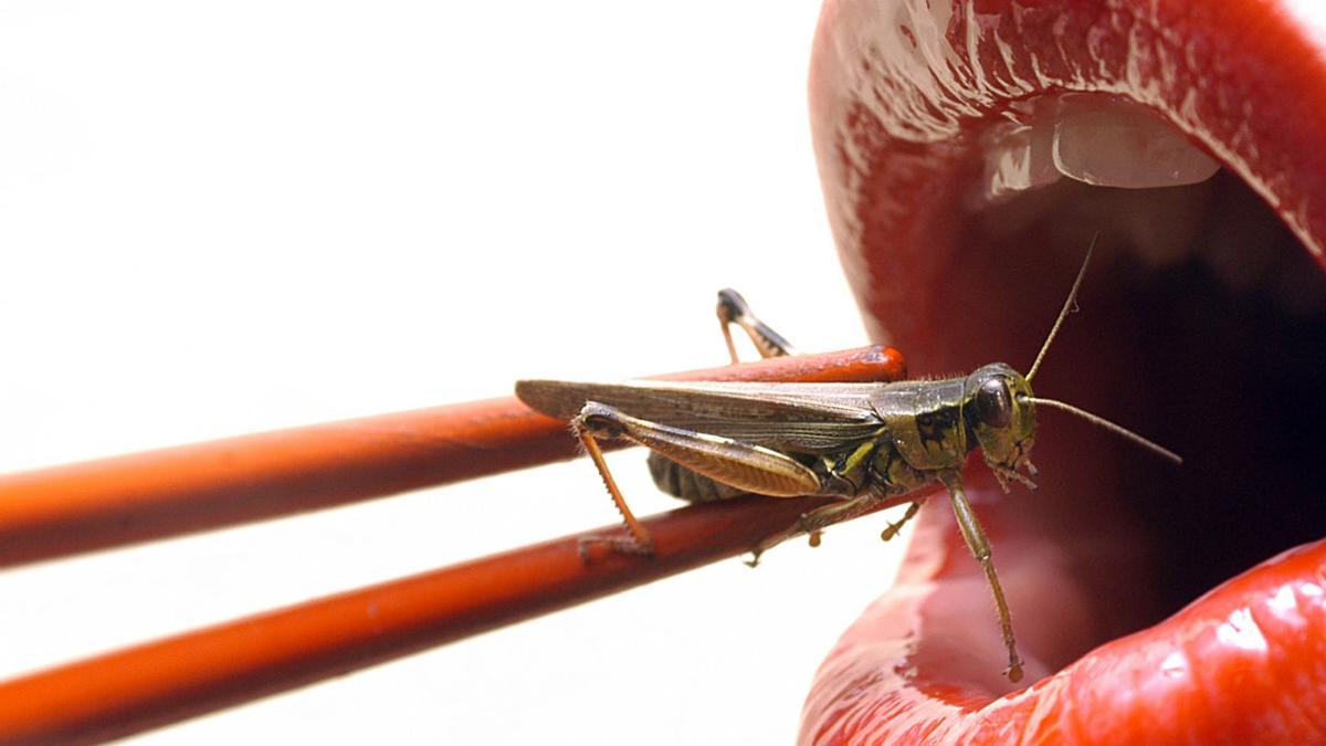 Un insecto a punto de ser llevado a la boca.