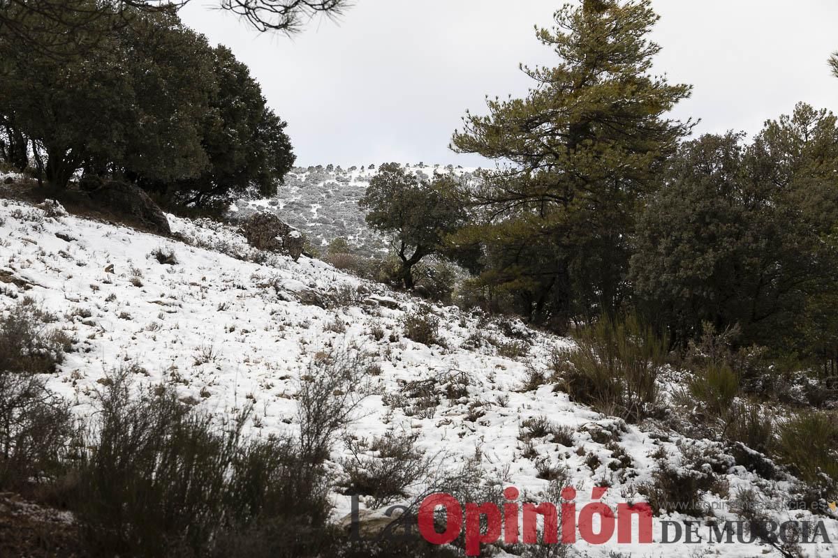 La borrasca Herminia tiñe de blanco la cima de la Región de Murcia