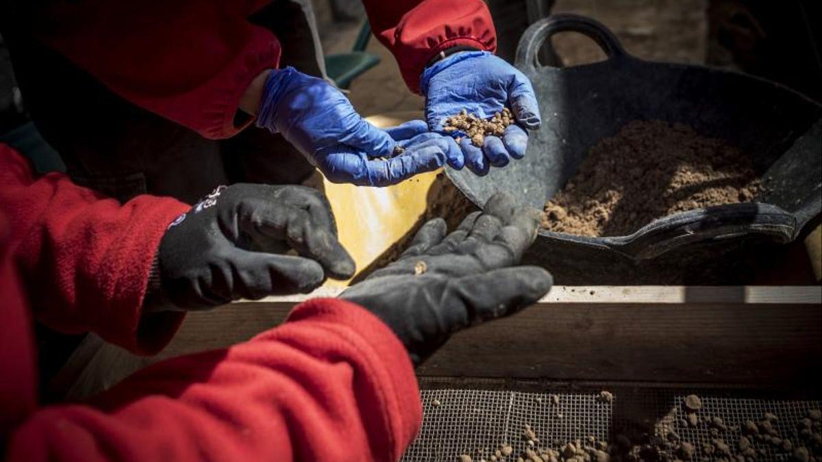 Trabajos de excavación en la fosa común 115 del cementerio de Paterna (Valencia),.