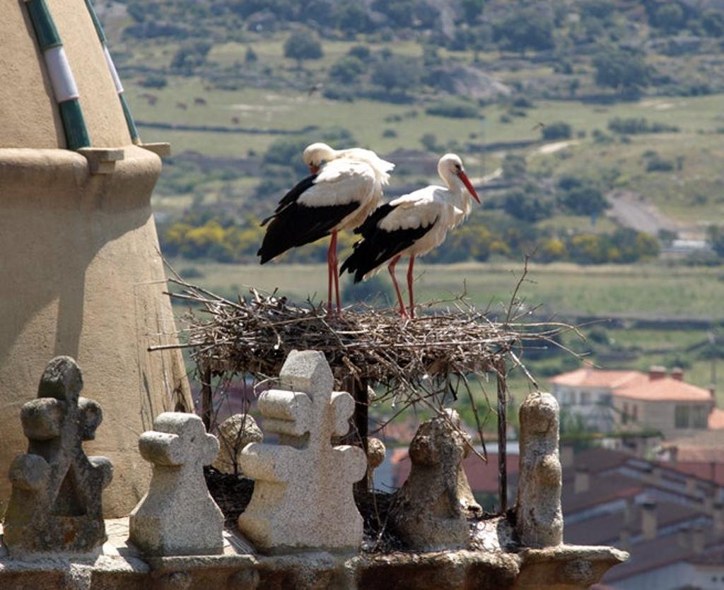 Cigüeñas, Trujillo