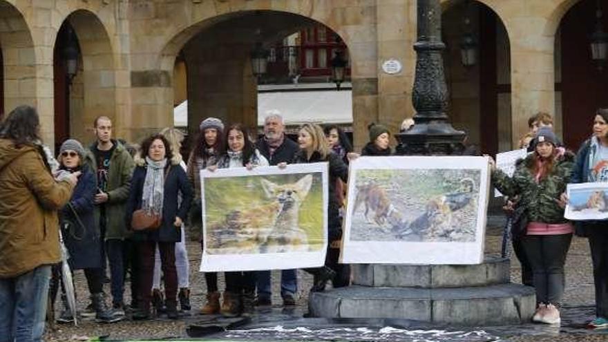 Manifestantes contra la caza del zorro, ayer, frente al Ayuntamiento.