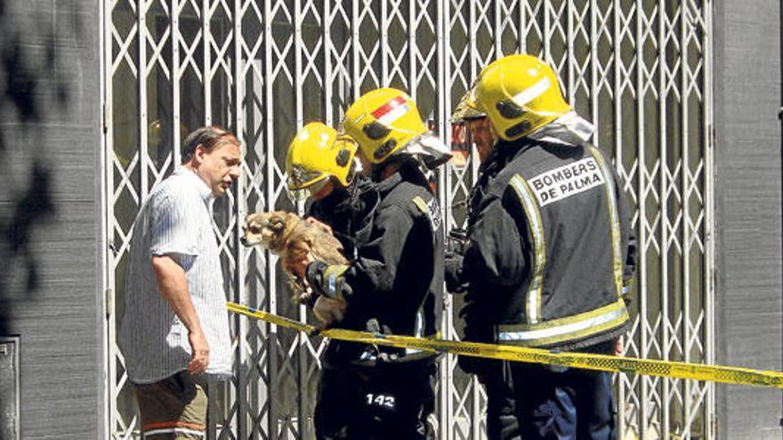 Varios bomberos entregan a su dueño, ayer, los perros recién rescatados de la vivienda.