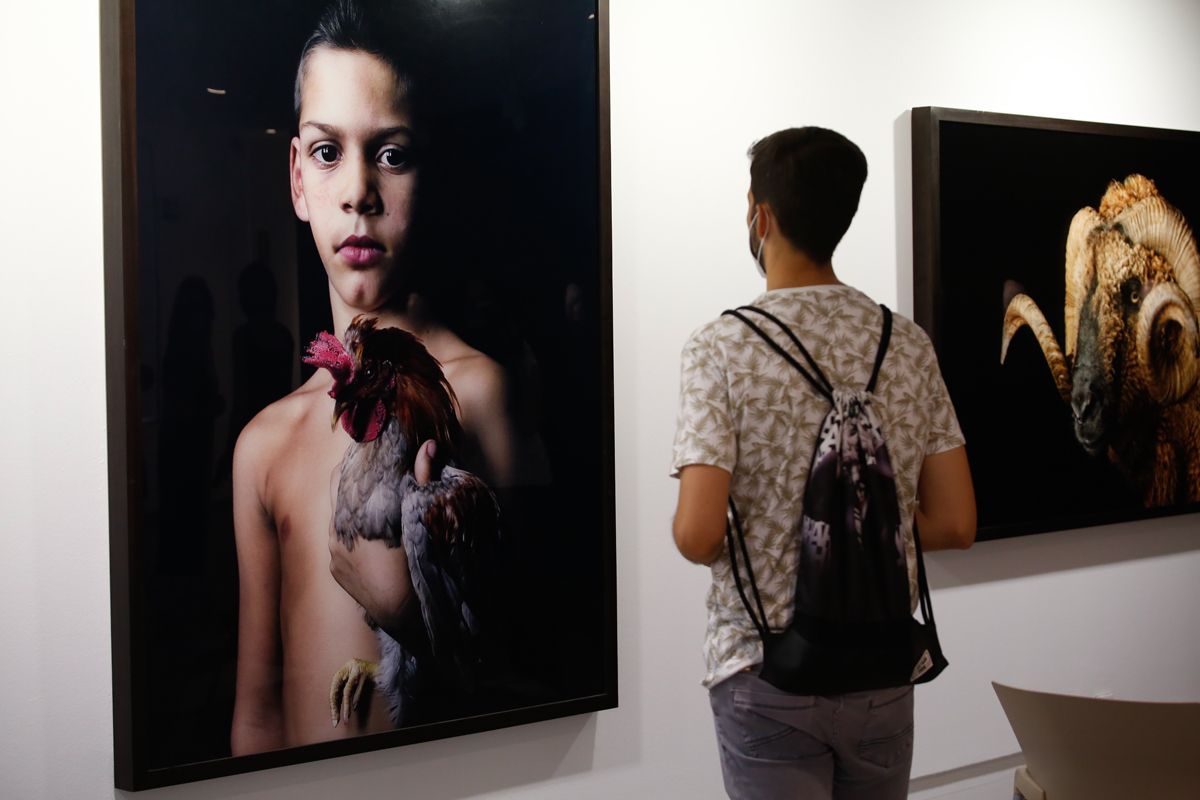 El arte contemporáneo y la sensibilidad animalista se dan cita en la exposición ‘Animalario'